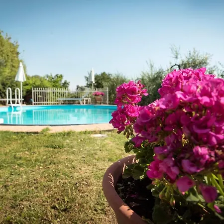 Holiday home Il Gelsomino Con Piscina